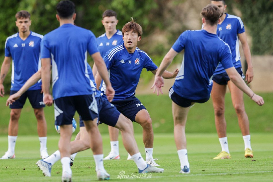 以其稳健的 以其稳健的