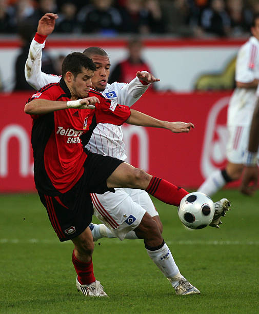 表达他们的 表达他们的